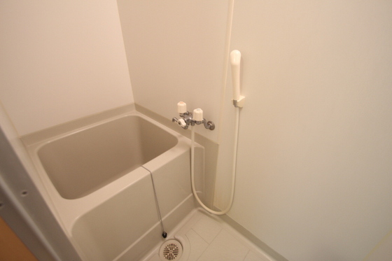 バス・シャワールーム　他号室のお写真です