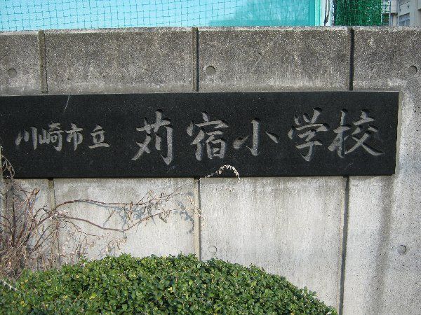 小学校　川崎市立苅宿小学校（小学校）まで387m