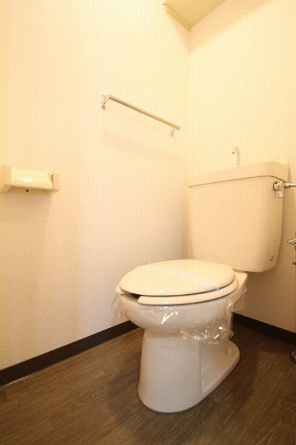 トイレ　同物件別号室のものです。