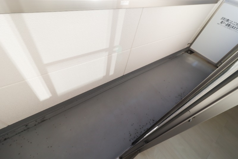 バルコニー　図面と現状に相違がある場合には現状を優先