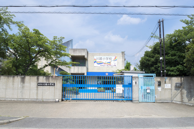 小学校　枚方市立川越小学校（小学校）まで486m