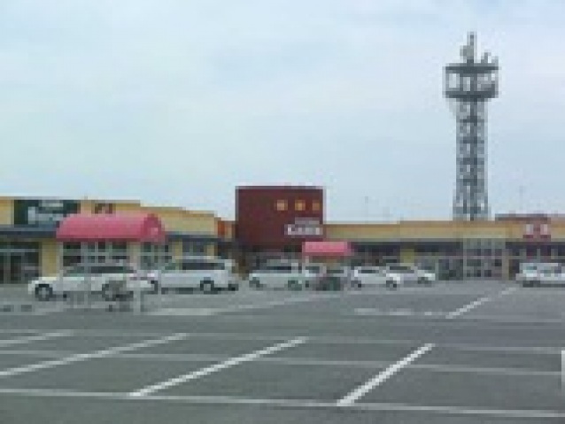 スーパー　カスミ二宮店（スーパー）まで419m