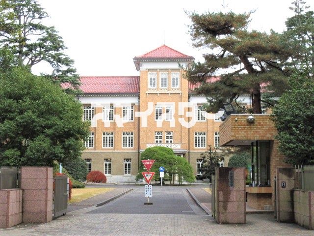 大学・短大　津田塾大学（大学・短大）まで696m