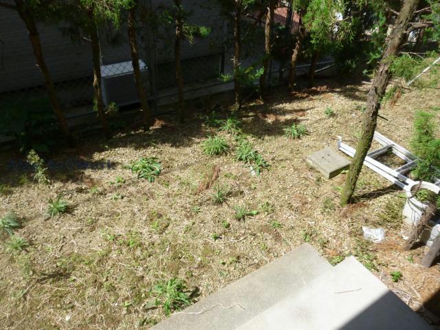 庭　別部屋イメージ画像