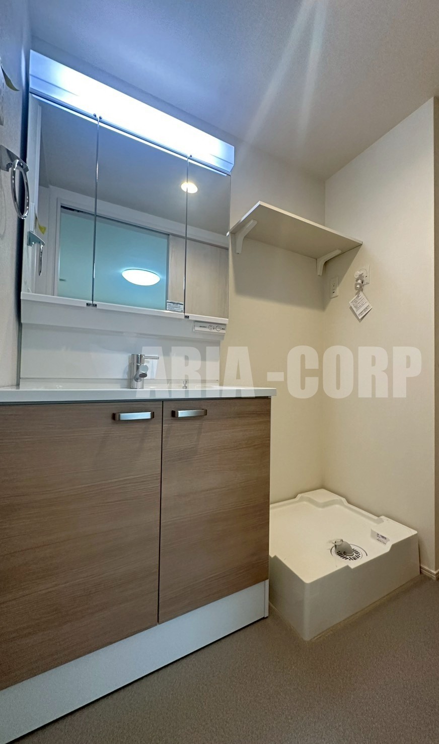 洗面設備　独立洗面台、シャワーヘッドタイプで洗髪や手入れに◎です