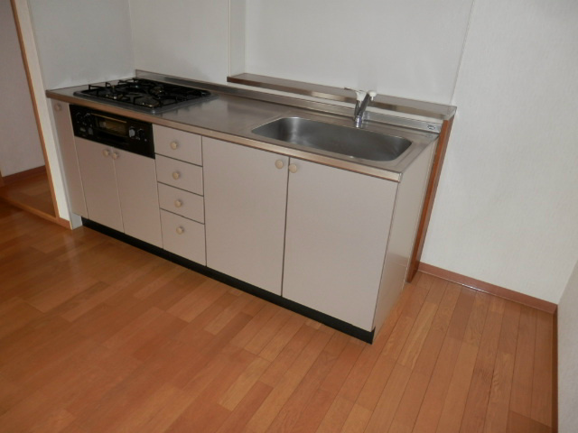 キッチン　2口ガスシステムキッチン（グリル付）です。