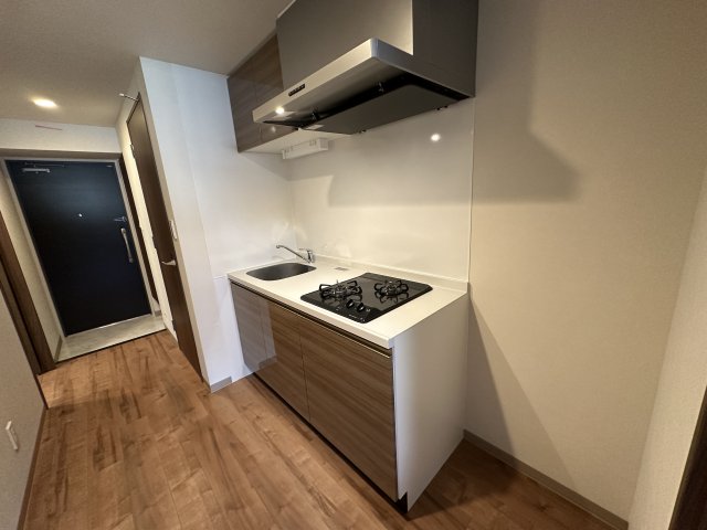 キッチン　同マンション、同型・別号室を撮影