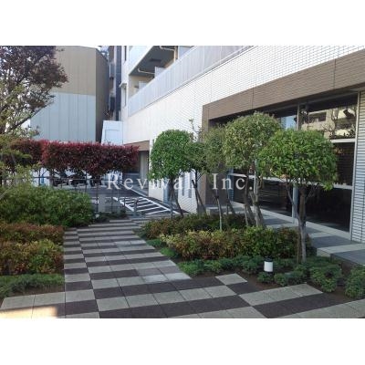 エントランス　緑も視界に入る環境でございます