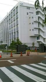 大学・短大　私立北里大学医学部（大学・短大）まで1729m