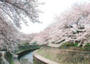 公園　柳窪西緑地（公園）まで619m