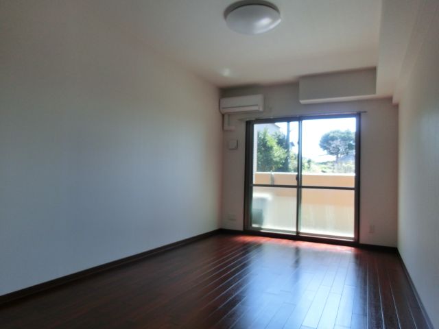 居室・リビング　広い洋間です