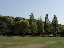 公園　千畳芝（公園）まで2599m