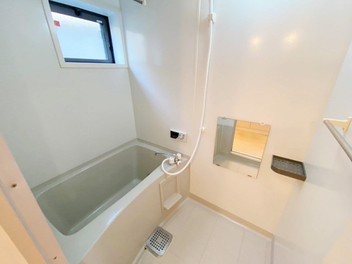 バス・シャワールーム　反転タイプの部屋の写真です