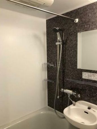 バス・シャワールーム　バス他号室の参考写真です