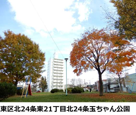 公園　玉ちゃん公園（公園）まで545m