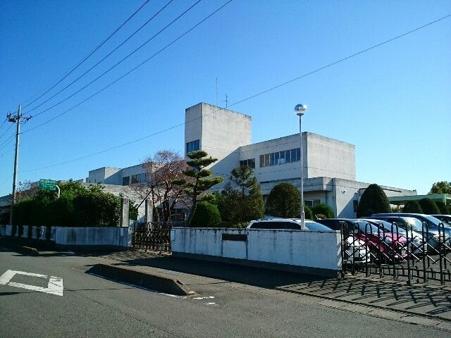 小学校　町立芝根小学校（小学校）まで1600m
