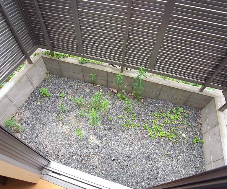 バルコニー　１階のバルコニは専用庭となっています。