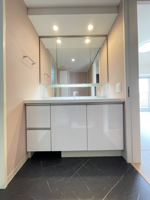 洗面設備　別部屋参考写真です