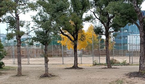 公園　生野東公園（公園）まで869m