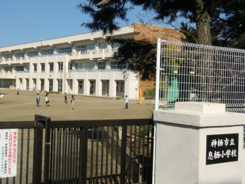 小学校　神栖市立息栖小学校（小学校）まで518m