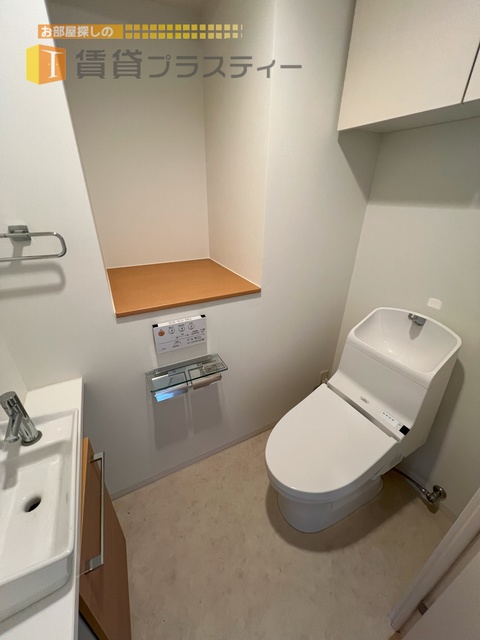 トイレ　お手洗い場も、収納棚もフル装備。