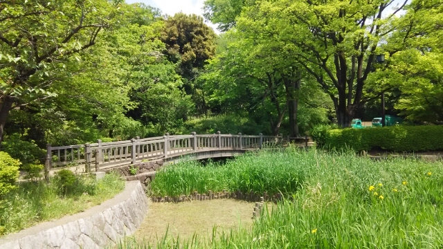 公園　岡本公園（公園）まで533m