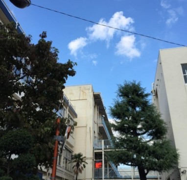 高校・高専　川口市立県陽高等学校（高校・高専）まで1460m