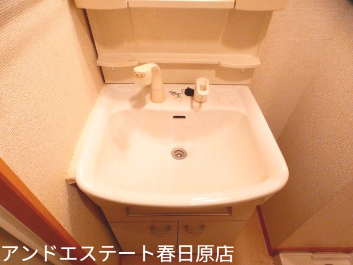 洗面設備　シャンプードレッサー付き洗面台