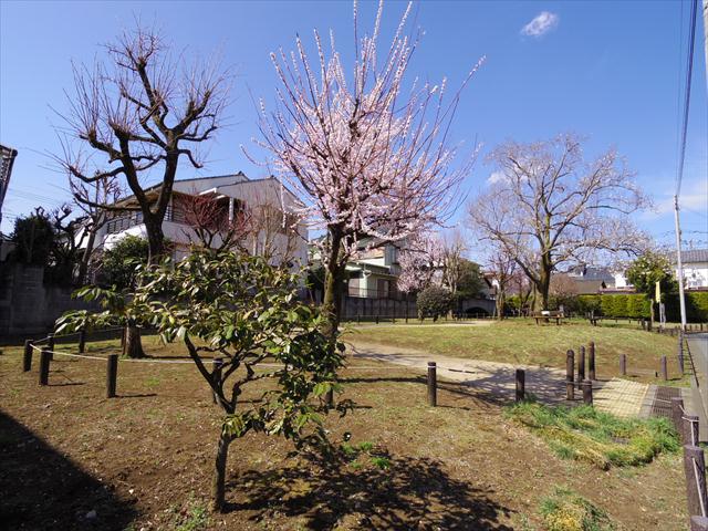 公園　上連雀あんず児童遊園（公園）まで426m