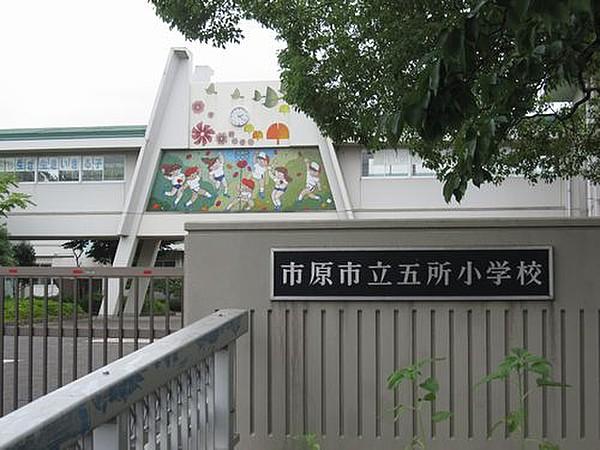 小学校　市原市立五所小学校（小学校）まで1026m