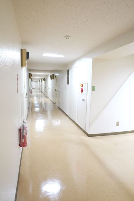 その他　管理状況良好！共用廊下も綺麗です。