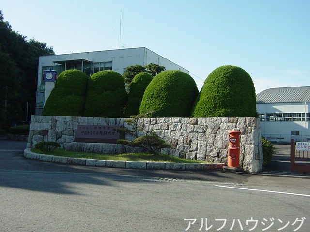 大学・短大　私立中日本自動車短期大学（大学・短大）まで482m