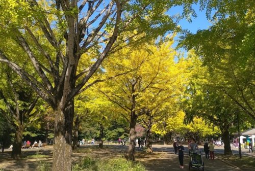 公園　光が丘公園（公園）まで5062m