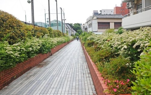 公園　桃園川緑道（公園）まで5460m