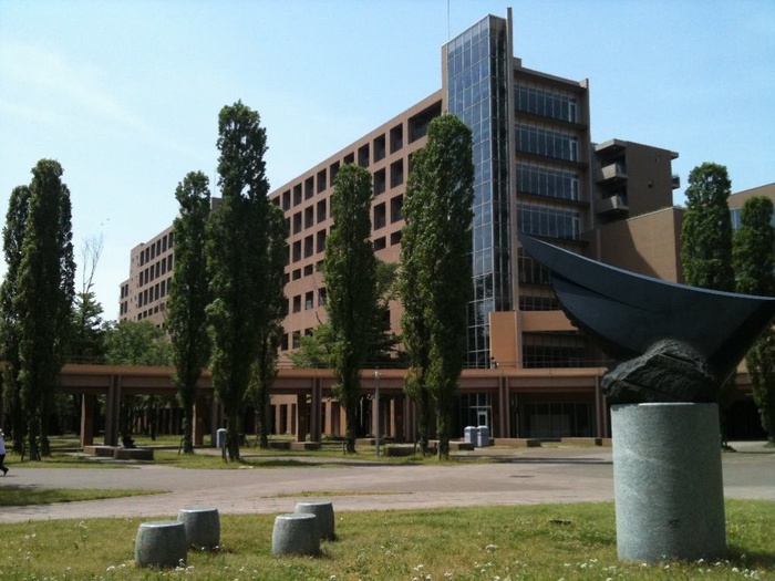大学・短大　東京外国語大学（大学・短大）まで1800m