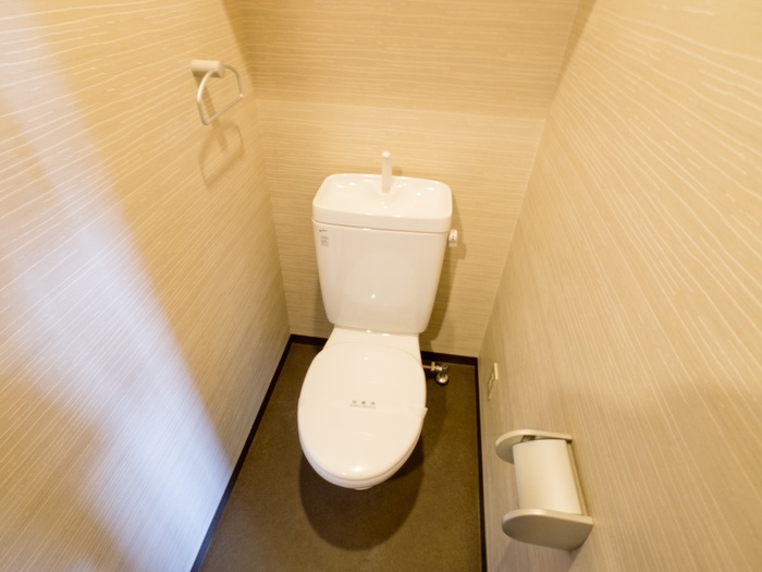 ＪＲ山陰本線 梅小路京都西駅 徒歩2分 9階建 築20年のトイレ写真