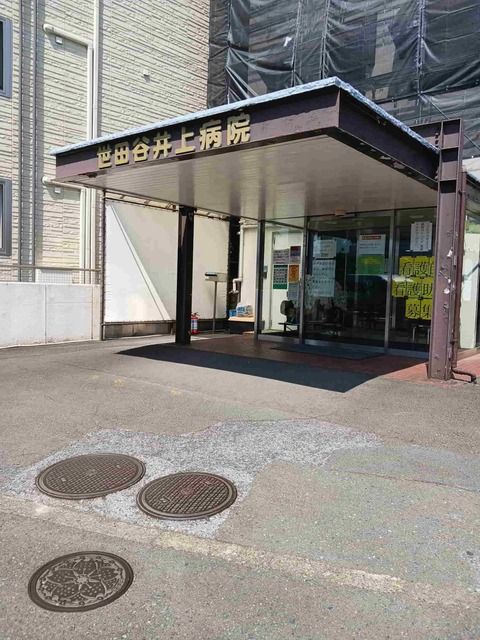 病院　世田谷井上病院（病院）まで550m