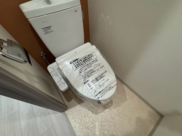 ＪＲ阪和線 美章園駅 徒歩3分 10階建 築1年のトイレ写真