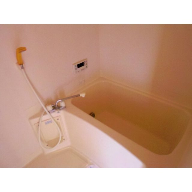 メゾンセシボン東部の風呂写真