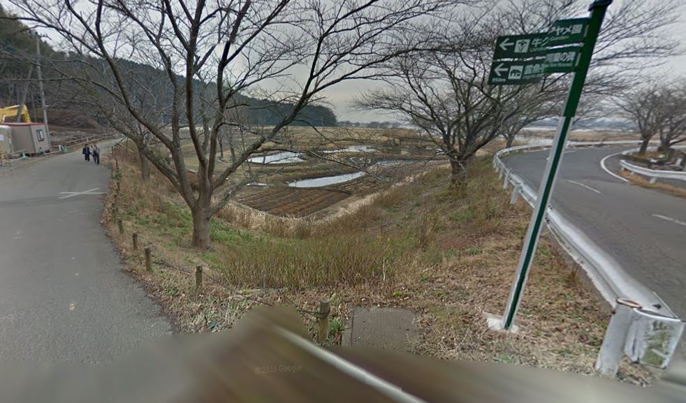 公園　牛久観光アヤメ園（公園）まで1051m