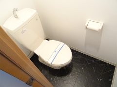 ＪＲ武蔵野線 西浦和駅 徒歩6分 2階建 築21年のトイレ写真