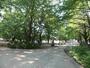 公園　板橋区平和公園（公園）まで482m