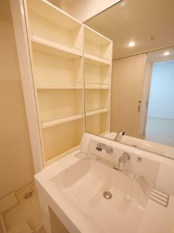 洗面設備　他タイプ（1LDK）のお写真です