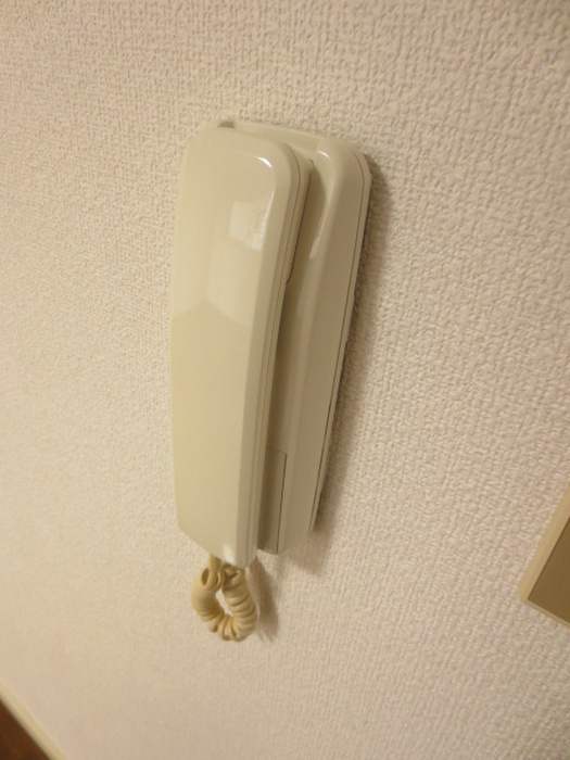 メゾンコスモの居間写真