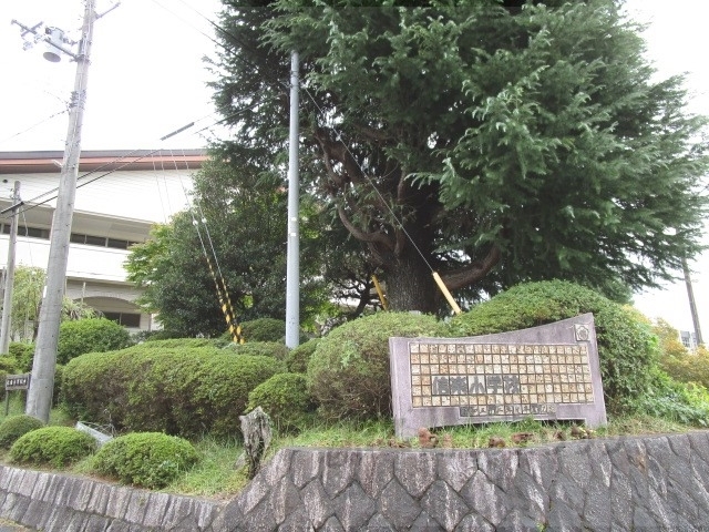 小学校　信楽小学校（小学校）まで650m