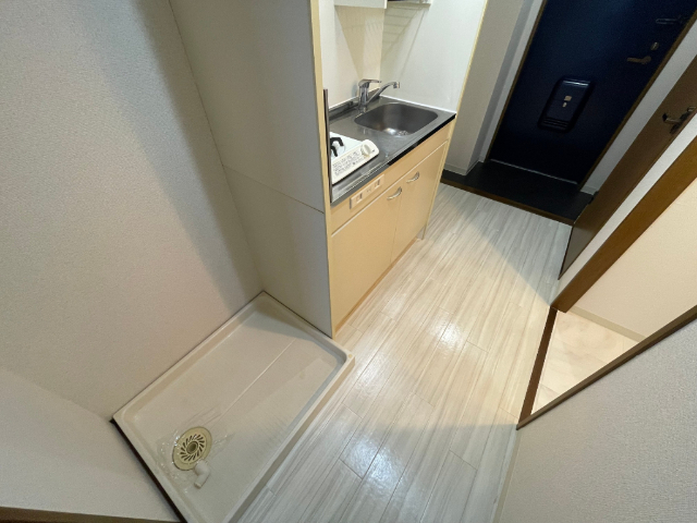 その他部屋・スペース　室内洗濯機置場です