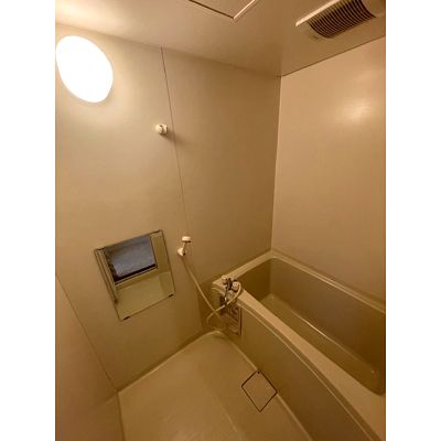 アミスターIIの風呂写真