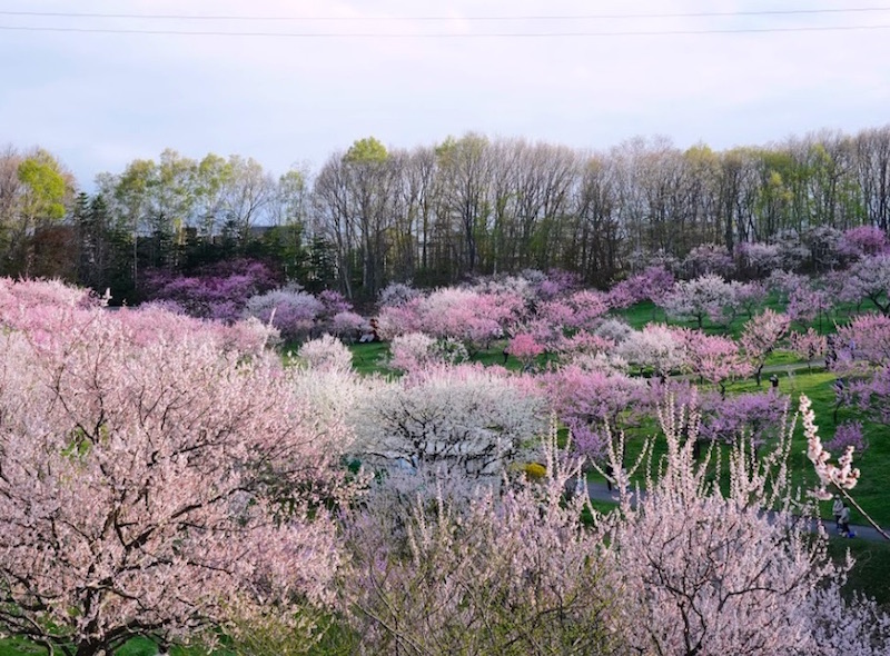 【グリーンヒル里塚１６番２５号の公園】