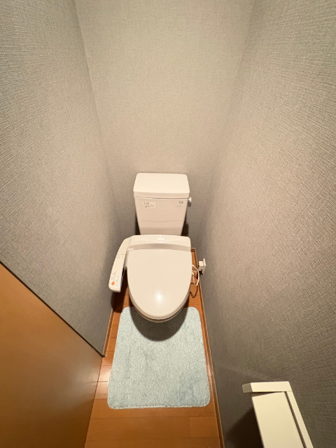 サンヒルズ・ややのトイレ写真