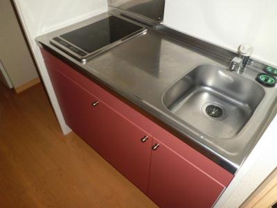 キッチン　電気コンロ付きの流し台。